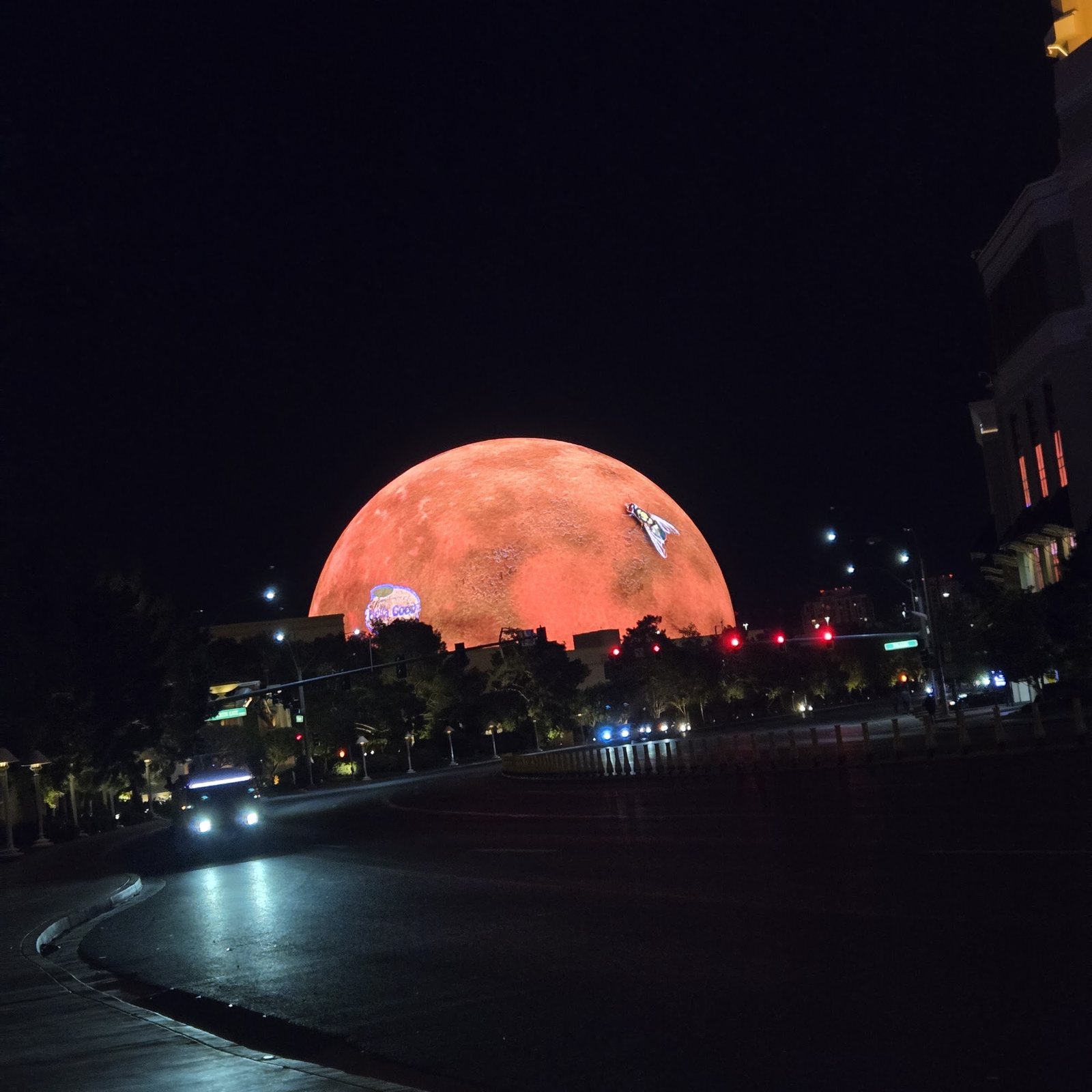 The Sphere glowing at night